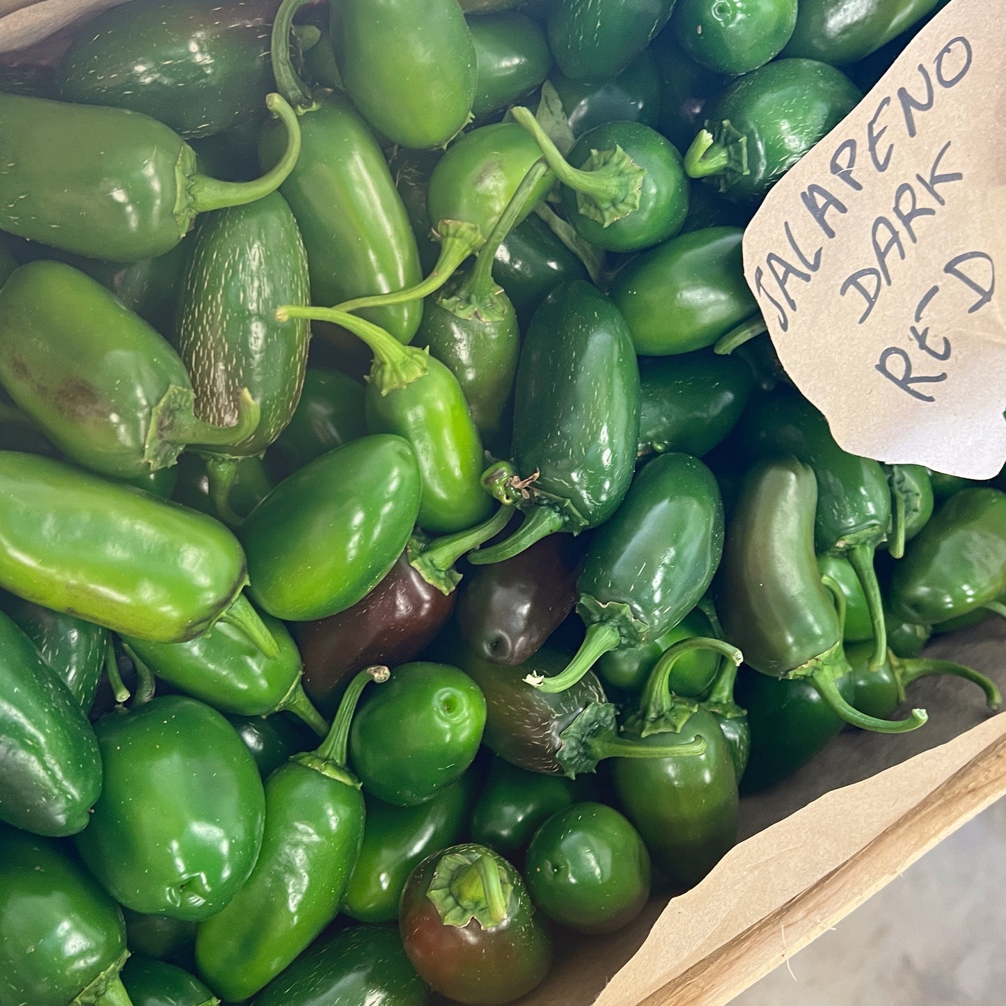 ハラペーニョ JALAPENO